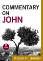 Commentary On John (Commentary On The New Testament Book #4) - Preview