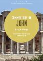 Commentary On John - Preview