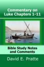 Commentary On Luke Chapters 1-11 - Preview