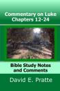 Commentary On Luke Chapters 12-24 - Preview