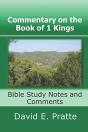 Commentary On The Book Of 1 Kings - Preview