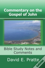 Capa do artigo Commentary On The Gospel Of John