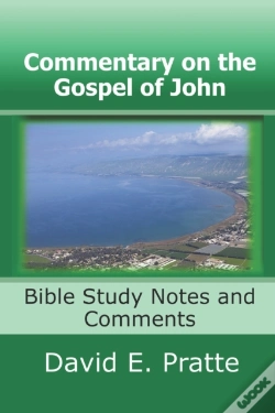 Capa do artigo Commentary On The Gospel Of John