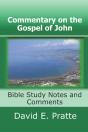 Commentary On The Gospel Of John - Preview