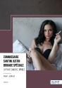 Commissaire Santini Justin Brigade Spéciale Tome 2 : L'Affaire Sanchez - Preview