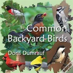 Capa do artigo Common Backyard Birds
