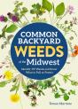 Common Backyard Weeds Of The Midwest - Preview