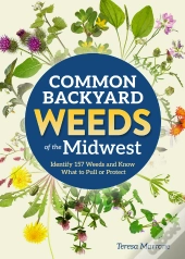 Common Backyard Weeds Of The Midwest