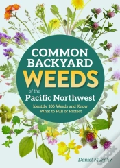 Capa do artigo Common Backyard Weeds Of The Pacific Northwest