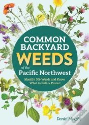Capa do artigo Common Backyard Weeds Of The Pacific Northwest
