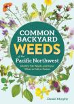 Common Backyard Weeds Of The Pacific Northwest