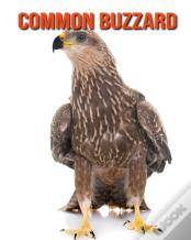 Common Buzzard