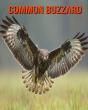 Common Buzzard - Preview