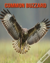 Capa do artigo Common Buzzard