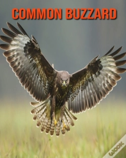 Capa do artigo Common Buzzard
