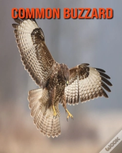 Capa do artigo Common Buzzard