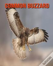 Common Buzzard