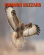 Common Buzzard - Preview