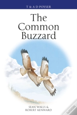 Capa do artigo Common Buzzard