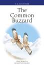Common Buzzard - Preview