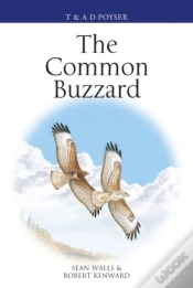 Capa do artigo Common Buzzard