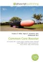 Common Core Booster - Preview