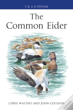Capa do artigo Common Eider