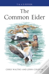 Capa do artigo Common Eider