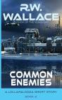 Common Enemies - Preview