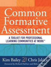 Common Formative Assessment