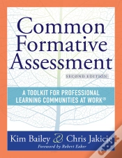 Capa do artigo Common Formative Assessment