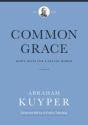 Common Grace (Volume 2) - Preview