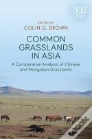 Common Grasslands In Asia