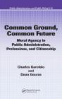 Common Ground, Common Future - Preview