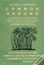 Capa do artigo Common Ground