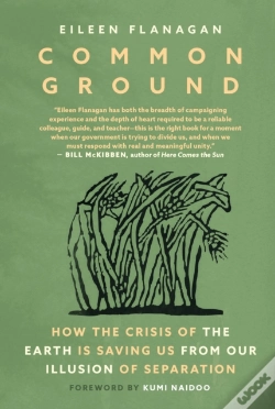 Capa do artigo Common Ground