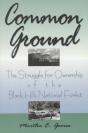 Common Ground - Preview