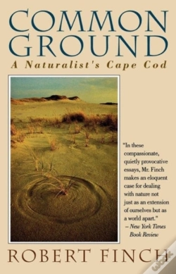Capa do artigo Common Ground