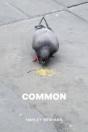 Common - Preview