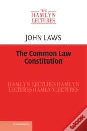 Capa do artigo Common Law Constitution