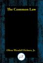 Common Law - Preview