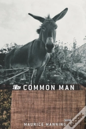 Capa do artigo Common Man