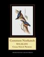 Common Nuthatch: Wildlife Cross Stitch P - Preview