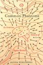 Common Phantoms - Preview