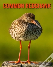 Capa do artigo Common Redshank