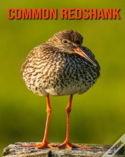 Capa do artigo Common Redshank