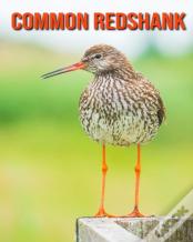Common Redshank