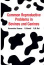 Common Reproductive Problems In Bovines And Canines - Preview