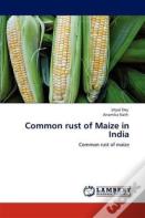 Common Rust Of Maize In India