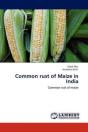 Common Rust Of Maize In India - Preview